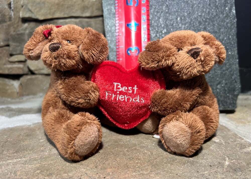VTG GUND “Two Of A Kind” Chocolate Puppy Dogs Valentines BEST FRIENDS plush